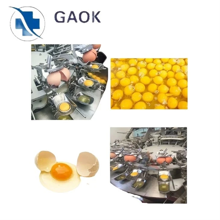 Automatic Egg Powder Processing Line Automatic Egg Powder Processing Line