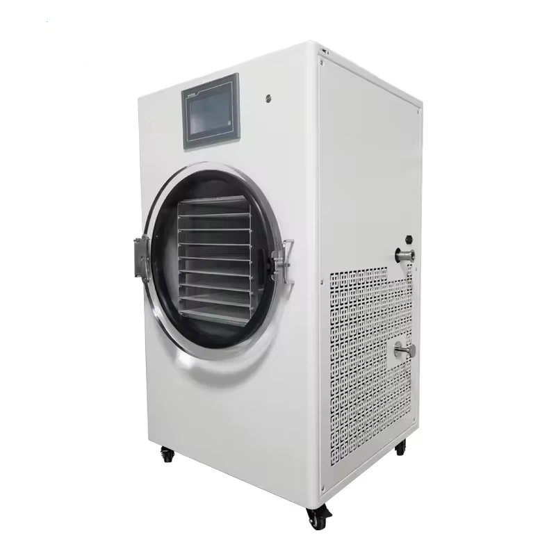 Ipari fagyasztó szárítógép